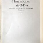 ハンスプフィッツナー ピアノ三重奏曲 hans pfitzner trio b-dur 1886 輸入楽譜/洋書/ヴァイオリン/弦楽器/schott/ショット