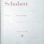 シューベルト ピアノ三重奏曲集 schubert klaviertrios piano trios