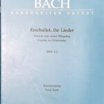 バッハ カンタータ第172番「歌声よ、響け」 bach Erschallet, ihr Lieder bwv172 cantata for whitsunday