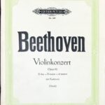 ベートーヴェン ヴァイオリン協奏曲 beethoven violinkonzert op 61