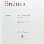 ブラームス 3つの間奏曲 Op117 brahms drei intermezzi