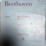 ベートーヴェン ピアノ・ソナタ集 第1巻 1～1５番 輸入楽譜 beethoven klaviersonaten piano 洋書 原典版