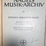 バッハ バイオリン・ソナタ ト短調 BWV 1020 フルートとピアノのための編曲 輸入楽譜 bach sonate g-moll 洋書 フルート