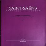 サン＝サーンス アレグロ・アパッショナート ロ短調 Op.43 チェロとピアノ Saint-Saens Allegro Appassionato h-moll cello piano