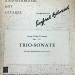テレマン トリオ・ソナタ ヘ長調 輸入楽譜 Telemann Trio-Sonate in F dur fur zwei blockfloten und Giterre 洋書