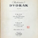 ドヴォルザーク ピアノ三重奏曲 Op.65 (ヴァイオリン,チェロ,ピアノ) 輸入楽譜 Antonin Dvorak trio f-moll 洋書