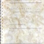 チィムバロン・モジュール 2台のマリンバ(バスドラム)のための 坂野嘉彦　